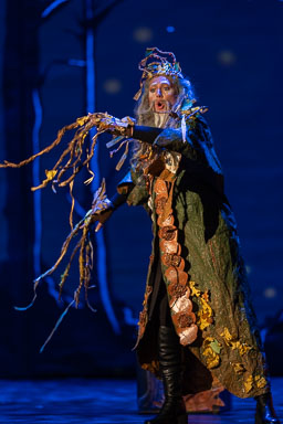 opROA_hanselGretel_20260325-1002.jpg