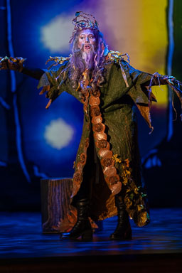 opROA_hanselGretel_20260325-1007.jpg