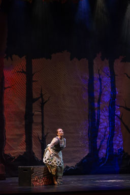 opROA_hanselGretel_20260326-0605.jpg