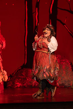 opROA_hanselGretel_20260326-1795.jpg